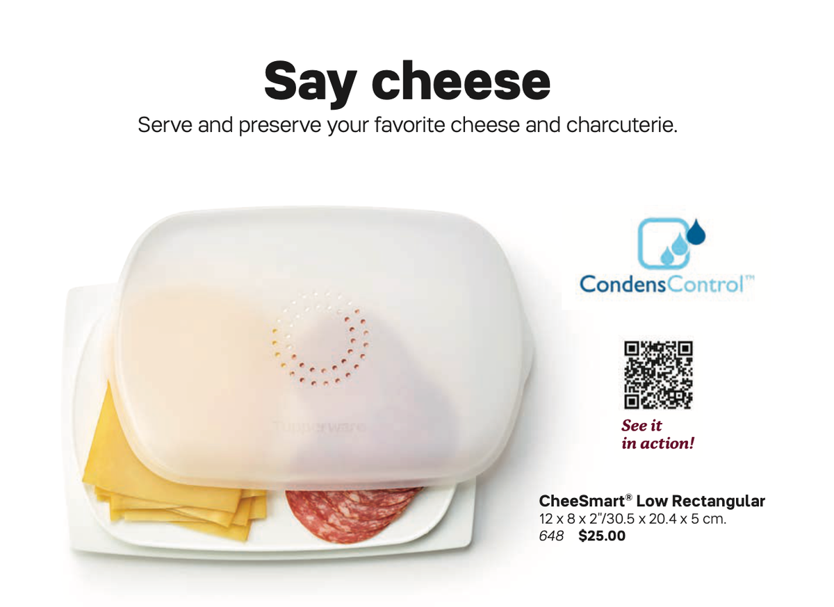Tupperware CheeSmart Low Rectangular Container – Keep Your Cheese Fresher & Odor-Free!