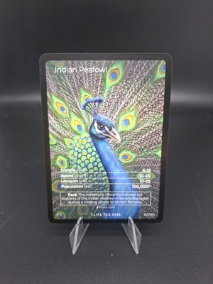 Life Tcg Birds: Indian Peafowl FULL ART 64/130