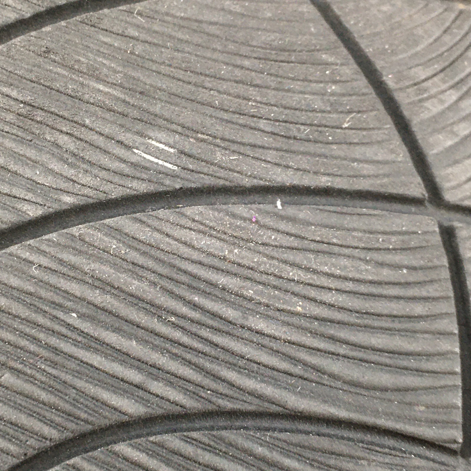 Picture 5 of 15