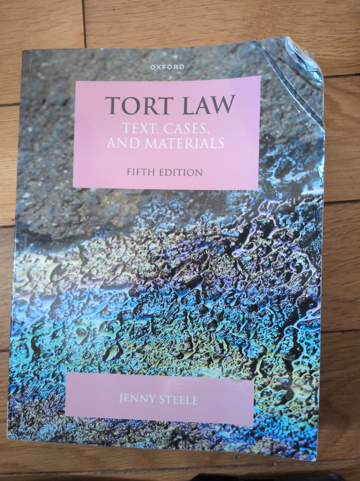 Text, Cases, and Materials Ser.: Tort Law : Text, Cases, and Materials by Jenny