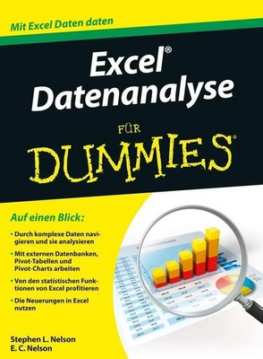 Excel Datenanalyse für Dummies | Stephen L. Nelson | Buch Deutsch 2016
