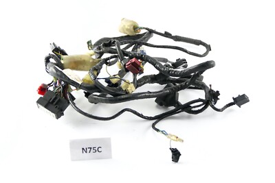 Honda CBR 900 RR SC33 1998 - Cablaggio cablaggio principale N75C