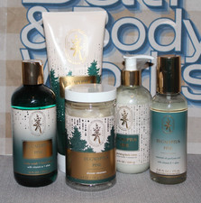 BATH  And BODY WORKS Eucalyptus Pine Essential Oil Mist  Lotion 5 PC Set