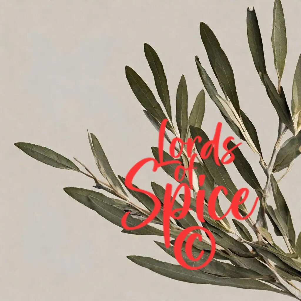 Olive Leaf Tea - Dried Organic Olive Leaf  Herb - Herbalism USA