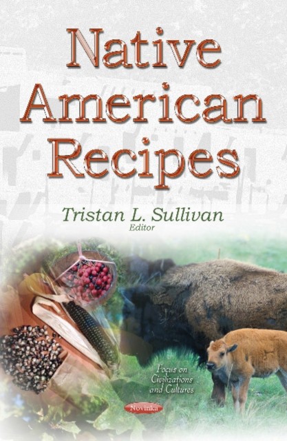 Native American Recipes by Tristan L Sullivan PAPERBACK 9781634634854