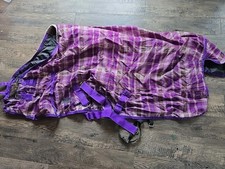 Horse Blanket 63
