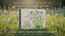 Reader's Digest Field Guide to the Wild Flowers of Britain 1986 HB Nature VGC
