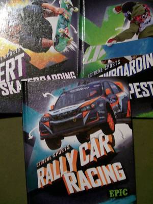 Set of 3 Extreme Sports Series ~ Skateboarding, Snowboarding & Rally Car Racing