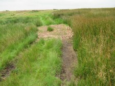 Photo 12x8 Damp course with bottom hardened near Kettleshiel c2019
