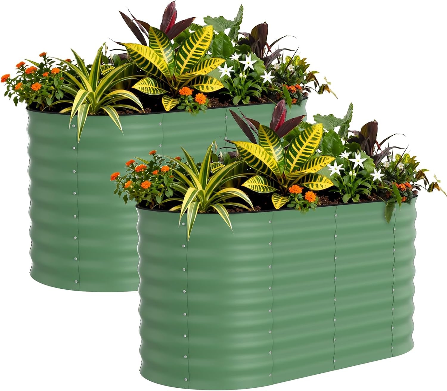 Jardinière pour fleurs potagères sans fond anti-limaces pour protéger vos jeunes plants