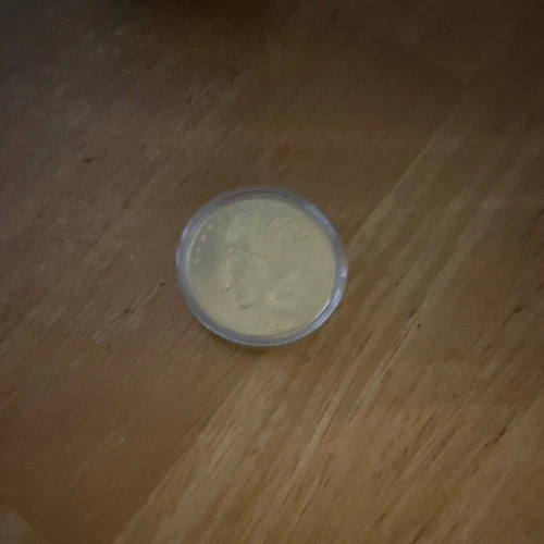 American Buffalo Gold Coin Indian Head Design in Protective Capsule