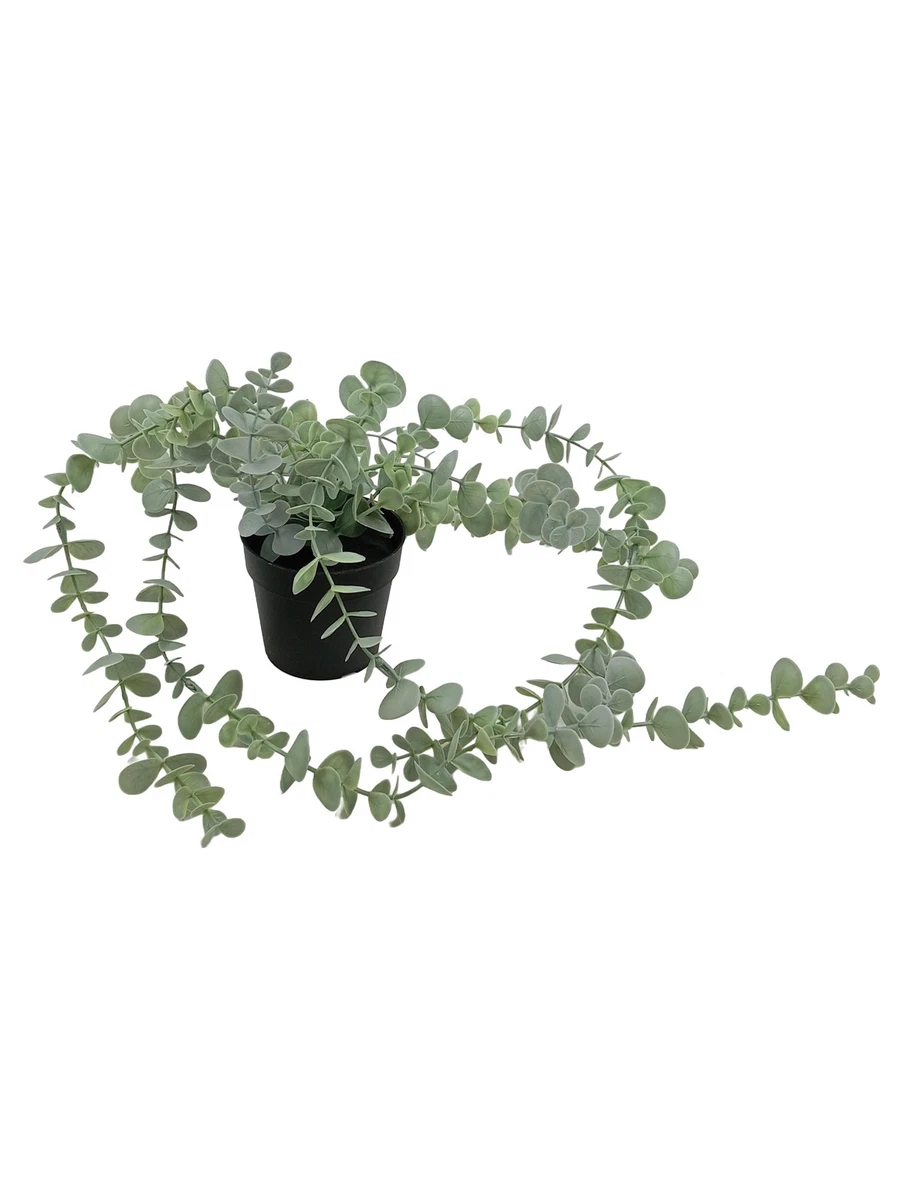 IKEA Dekoblumen & knstliche Pflanzen online kaufen | eBay.de