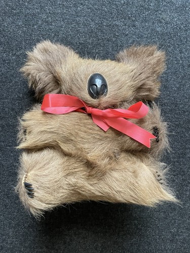 Australia Koala Bear Kangaroo Fur 9"