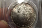 1884-O Morgan Silver Dollar Freshly graded  PCGS MS63