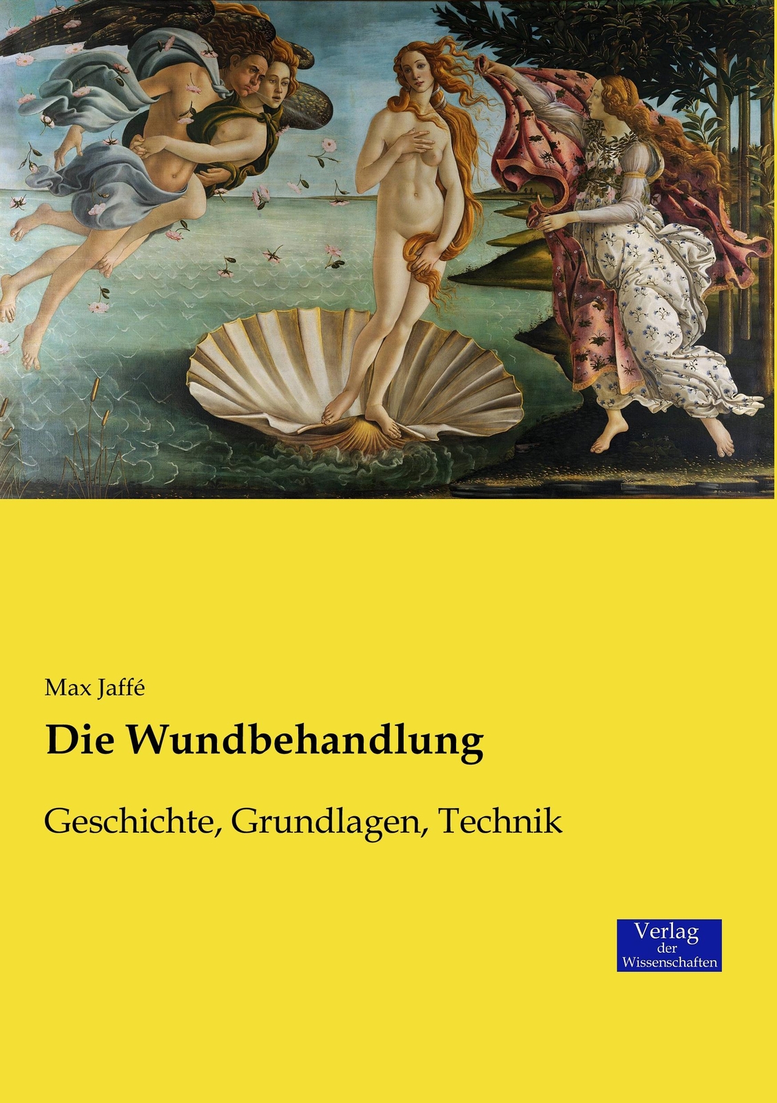 Die Wundbehandlung | Buch | 9783957008398