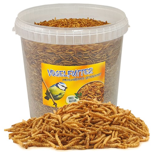 Eurocrickets Lebende Mehlwürmer 500g - Frisch Erwachsen - Futterinsekten Für Reptilien, Vögel, Fische