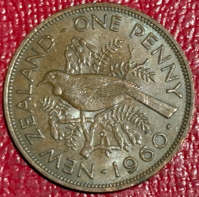 HIGH GRADE XF/AU 1960 NEW ZEALAND ONE PENNY COIN-TUI BIRD-JUL484