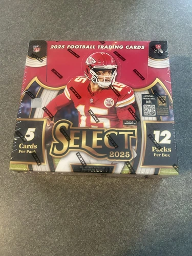 Panini Select Football Hobby Box