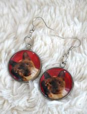 Arno The Amazing Cat Round Glass Picture Drop Earrings