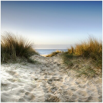 Wallario Premium Glasbild Wandbild Weg durch Dünen Strand Meer Sand    Wellen