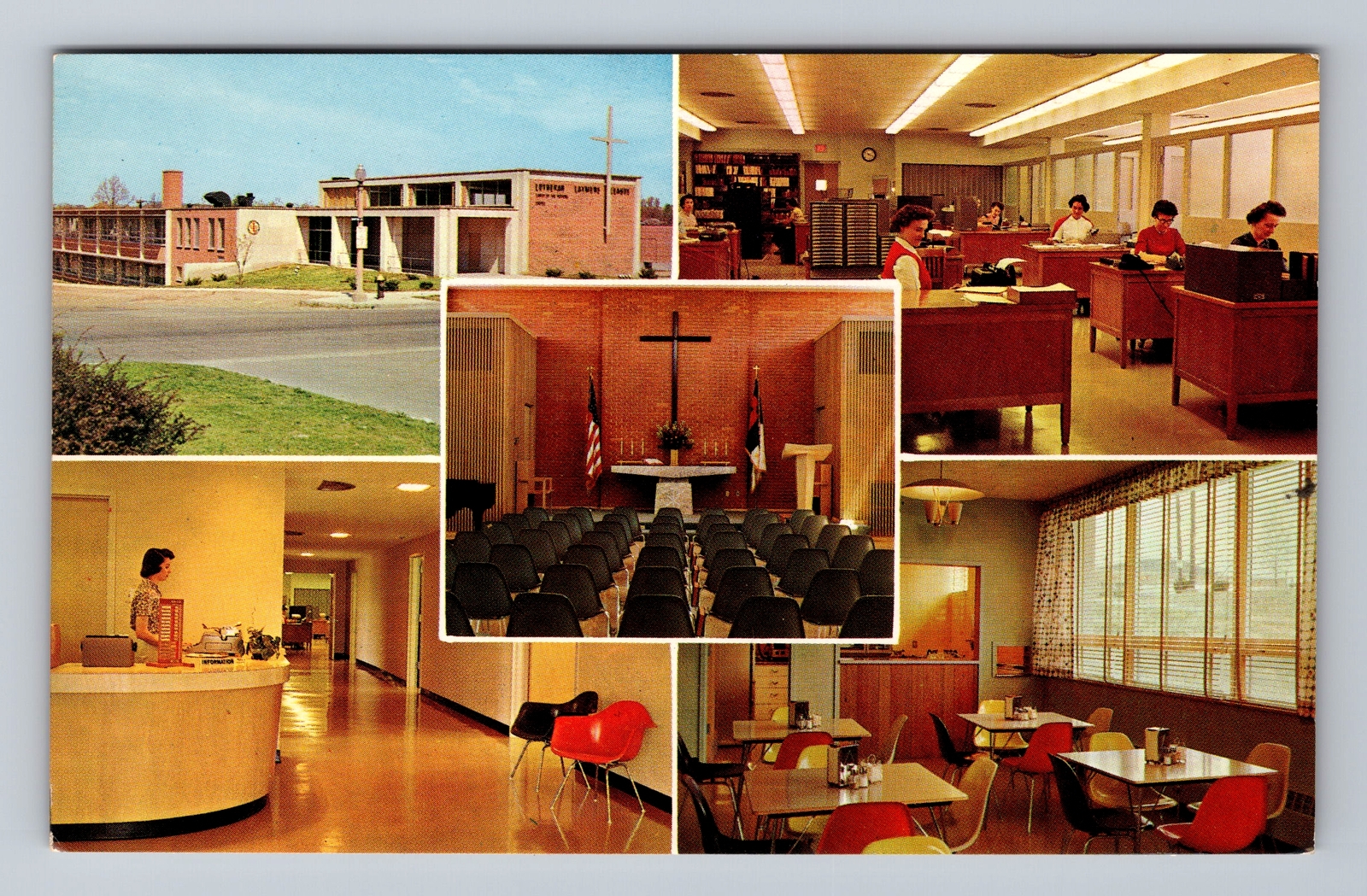 St Louis MO- Missouri, Foal Point, Vintage Postcard