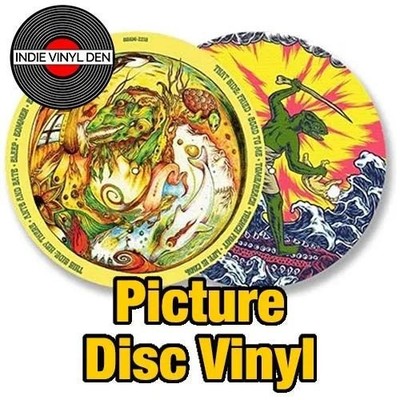 King Gizzard & The Lizard Wizard - Teenage Lizard - Picture Disc Vinyl Record