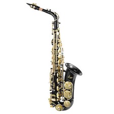 Brass EB Alto Saxophone Gold Lacquer Beginner Student Kit with Maintenance Tools