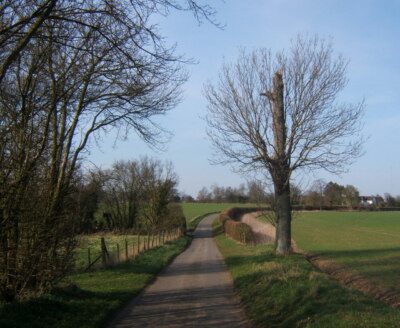 Photo 6x4 Clockhouse Lane, looking north Little Stonham Heading away from c2009