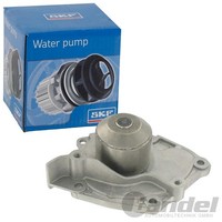 SKF Wasserpumpe Passend FüR Nissan Primera Renault Grand Laguna Megane ScÉNic |