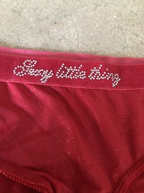 Womens Victorias Secret Sexy Little Things Bikini Panties Size L NEW! NWOT 2007