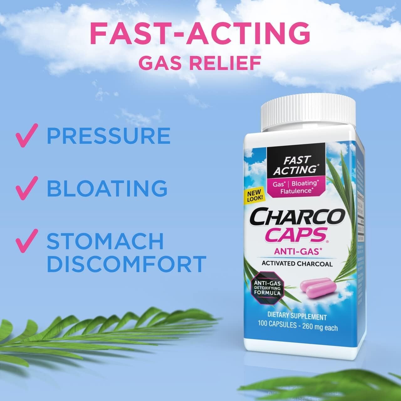 CharcoCaps Anti-Gas Formula Capsules 100 ea (Pack Of 2  Bott