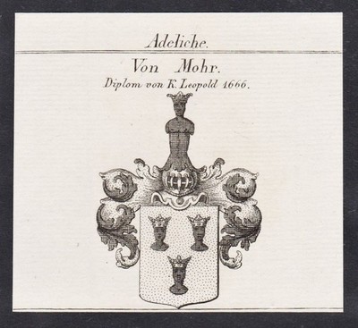 Mohr Wappen coat of arms Heraldik Genealogie Kupferstich 1820