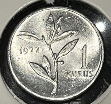 Turkey 1977 1 Kurus Coin Looks Uncirculated. Really Nice
