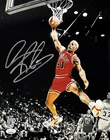 Dennis Rodman Signed Autographed 11x14 Photo JSA Authentic Chicago Bulls 6