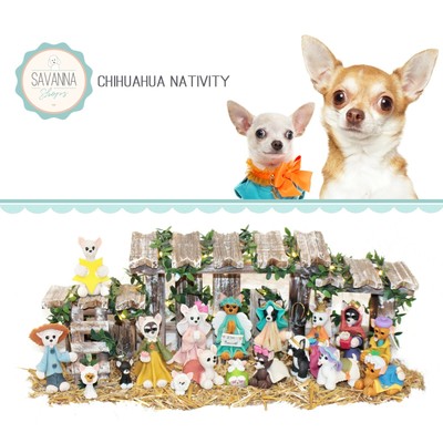 chihuahua items