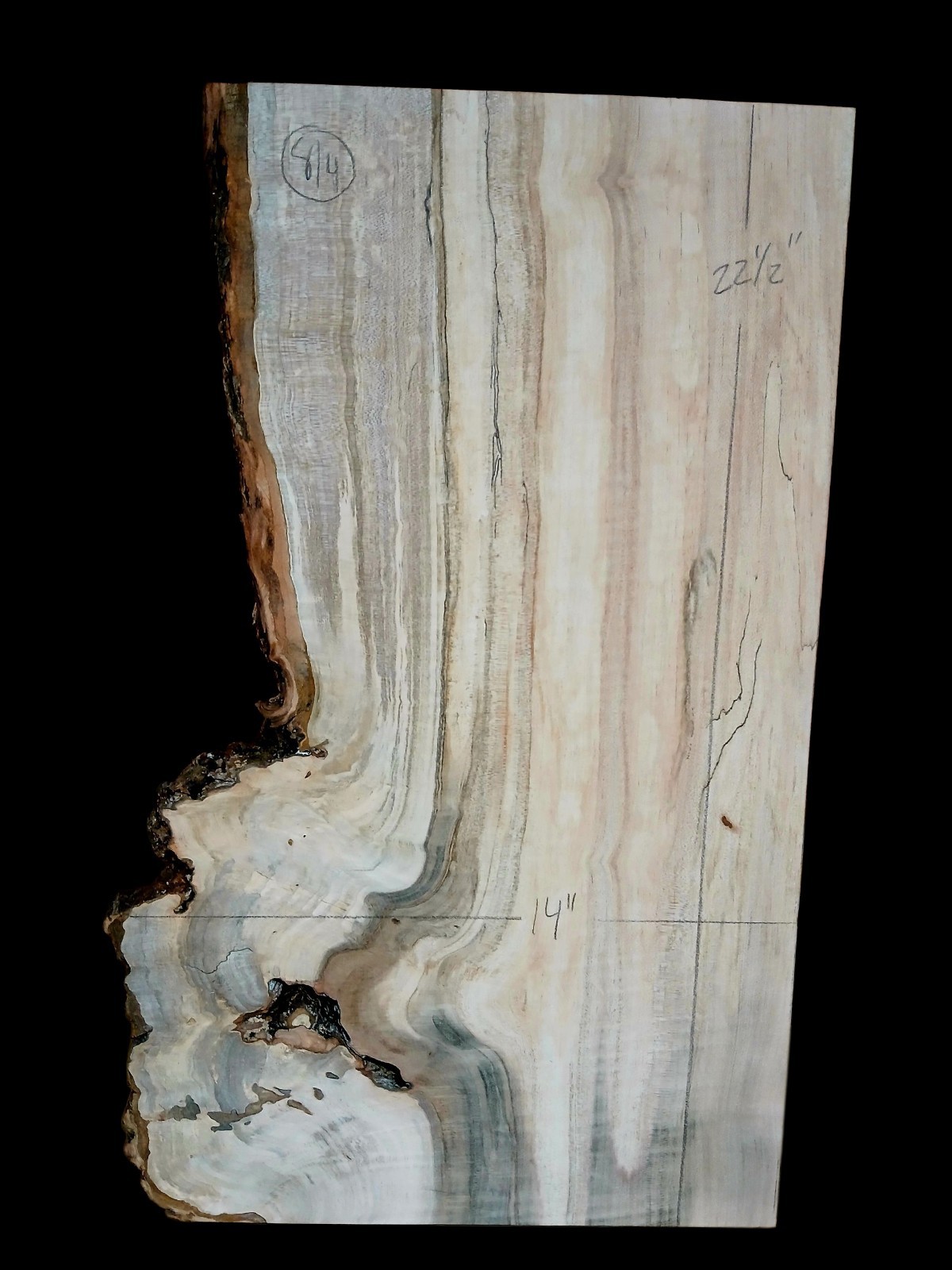 XXL MIND BLOWING Curly RED Maple Burl wood Slab EPOXY/STABILIZING/ Turning Wood