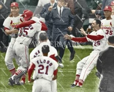 CQ624 Bob Gibson - Tim McCarver - Curt Flood 8x10 11x14 16x20 Colorized Photo