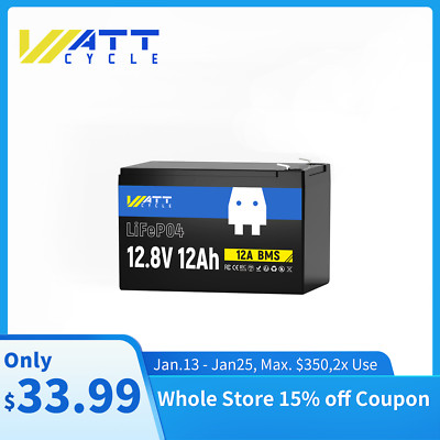 12.8V 12Ah LiFePO4 Battery Up to 20000 Cycles 12A BMS Low Temperature Protection