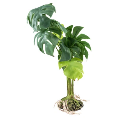 Terra Della Terrarienpflanze Monstera grün realistisch Tierbedarf Deko