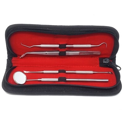 Professional Oral Care Kit 4 Pcs Dental Floss Picks Teeth Stainless Steel
