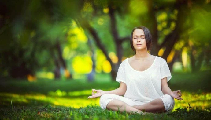 Clean Superfood - MORINGA OLIEFERA Blatt 1200mg - Essential Health 3 Flaschen 180 C - Bild 4 von 4