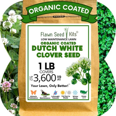 #ad Dutch White Clover Seed Organic Coated Eco Friendly Low Maintenance $49.99
