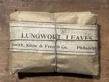 Antique Lungwort Leaves Quack Medicine Smith, Kline & French Co. Late 1800's