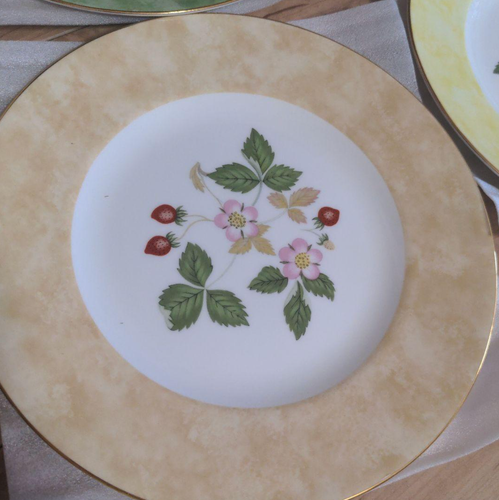 Wedgwood Wild Strawberry Full Rim Plate Set of 5 Colors 20.5cm w/Box - Picture 3 of 8