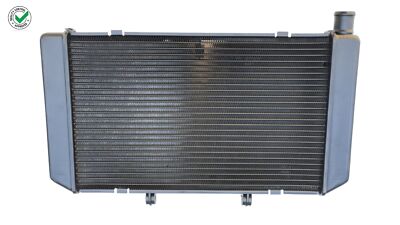 Water Radiator Liquid Cooling For HONDA CB 600 F Hornet (2007-2013)