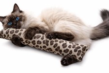 18" XL Catnip Kicker Toy for Cats Handmade Kick Stick 1oz Potent Canadian Catnip