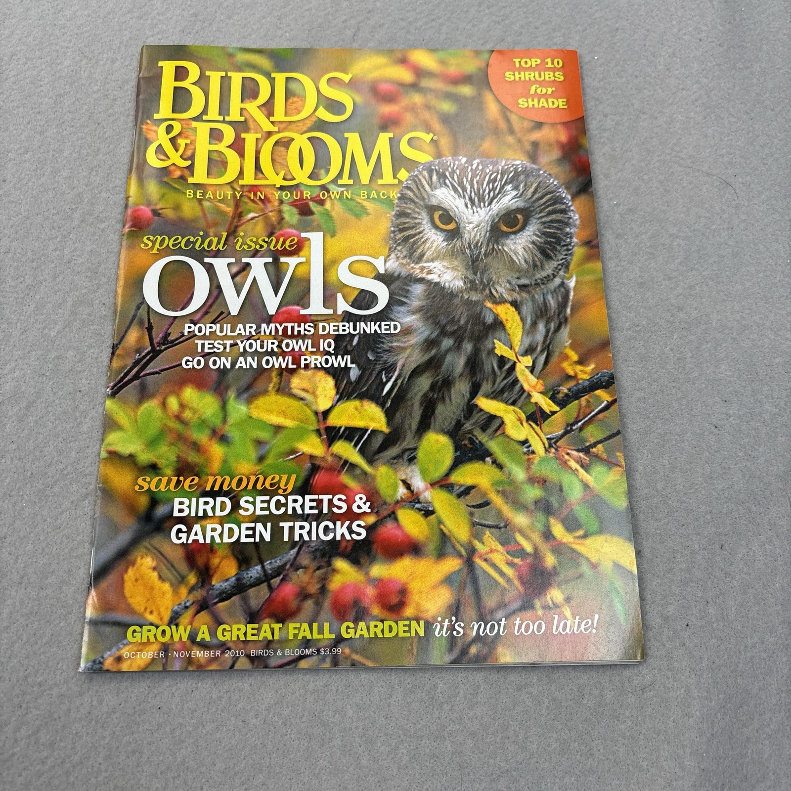 Birds & Blooms Magazine October/November 2010 Owls Special Edition USA