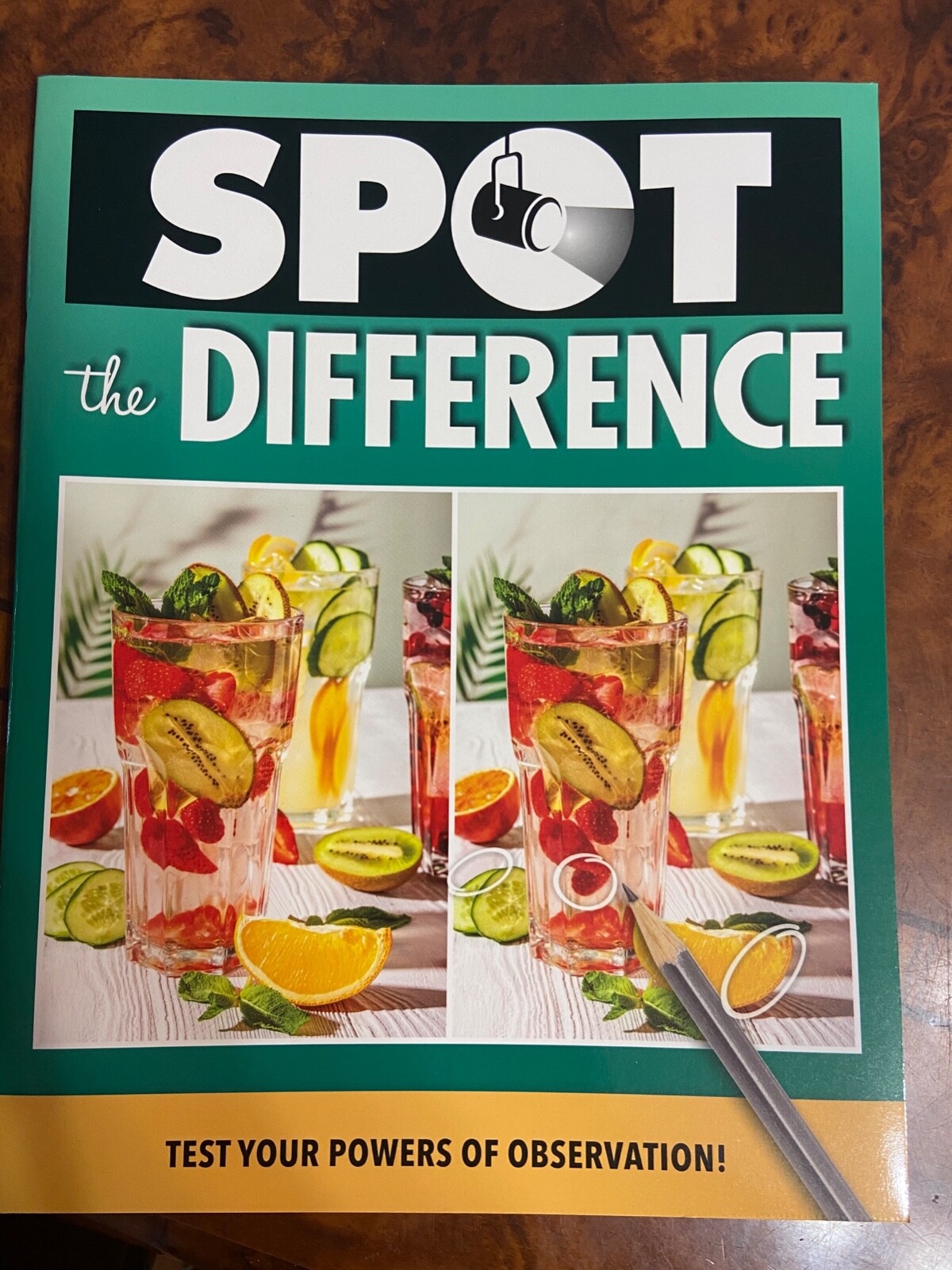 Spot the Difference Picture Puzzle brand new