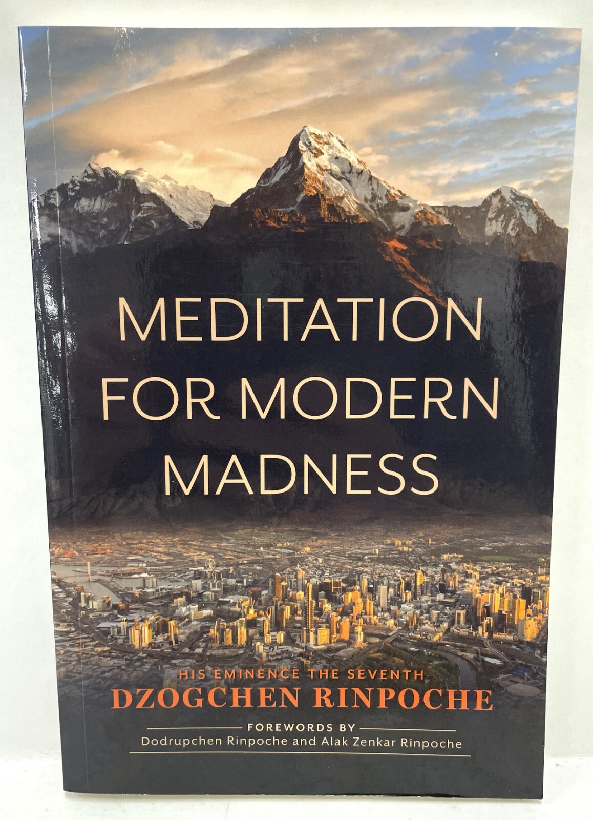 Meditation for Modern Madness