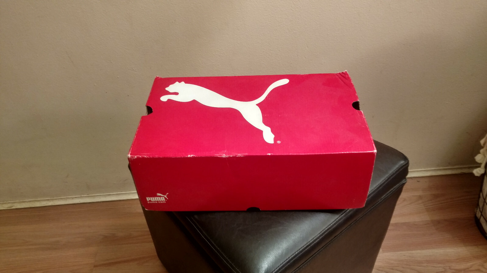puma king xl sg